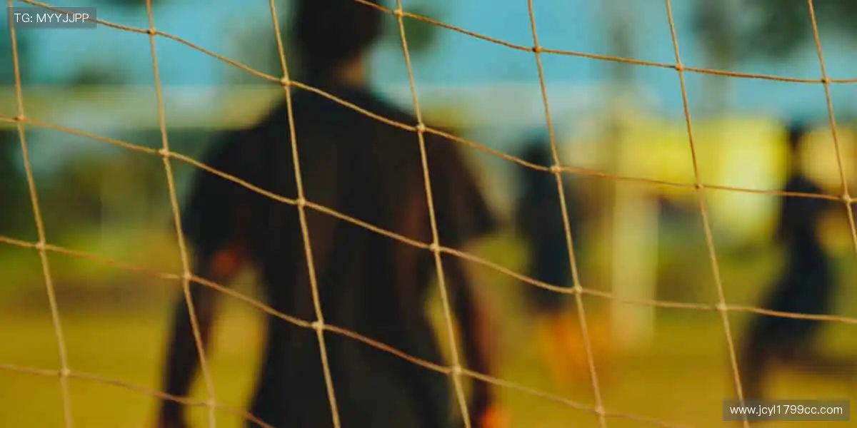 👕 球迷专属，个性定制！从球衣到潮 T，每一件都是你的主场战袍！